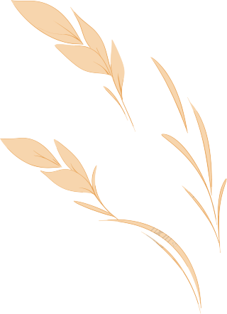 小麦简约插图设计素材