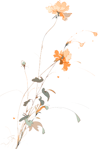 线条花朵透明背景素材