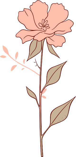 线条花朵透明背景PNG元素