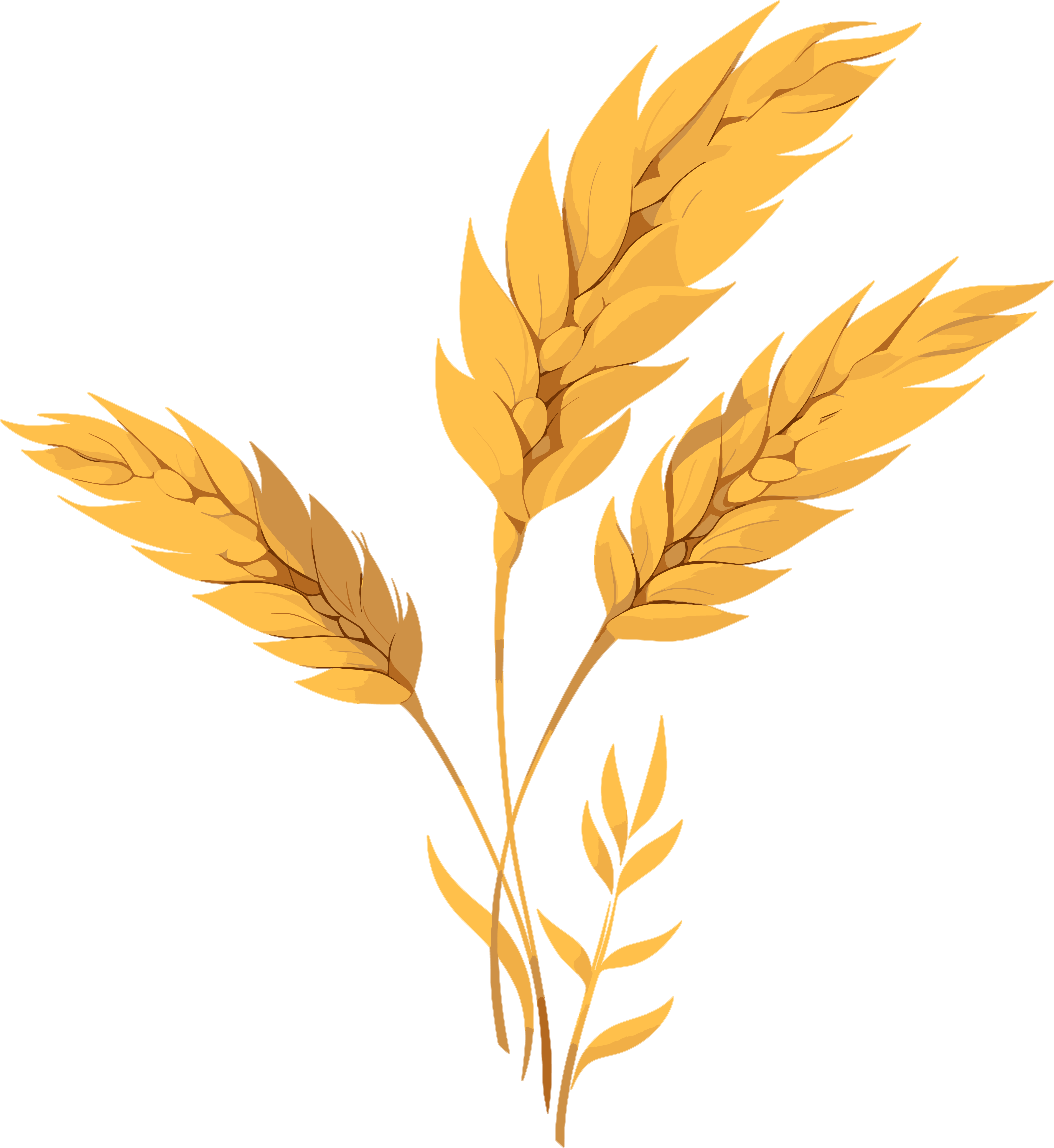 小麦简约设计插图