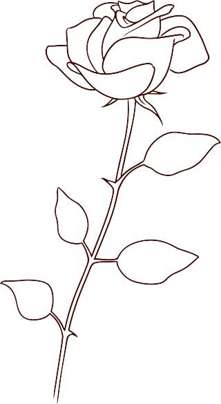 线条玫瑰花可商用插画