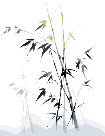 水墨竹子透明背景插画