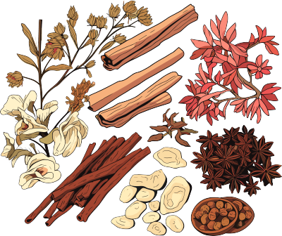 中草药高清图形素材