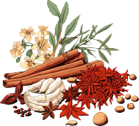 中草药PNG图形素材