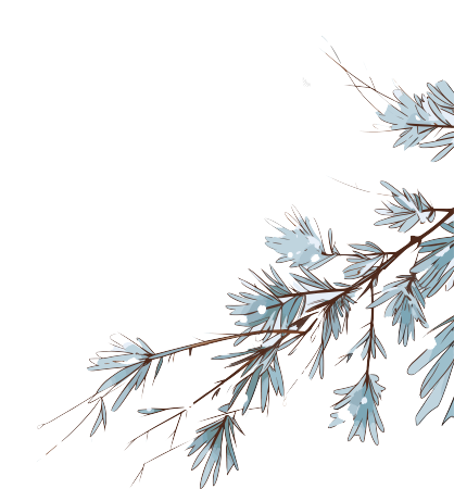 松枝积雪插画
