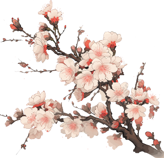 梅花高清素材设计插画