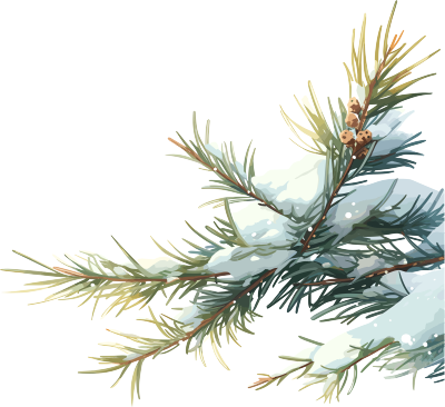 松枝上飘落的雪花素材