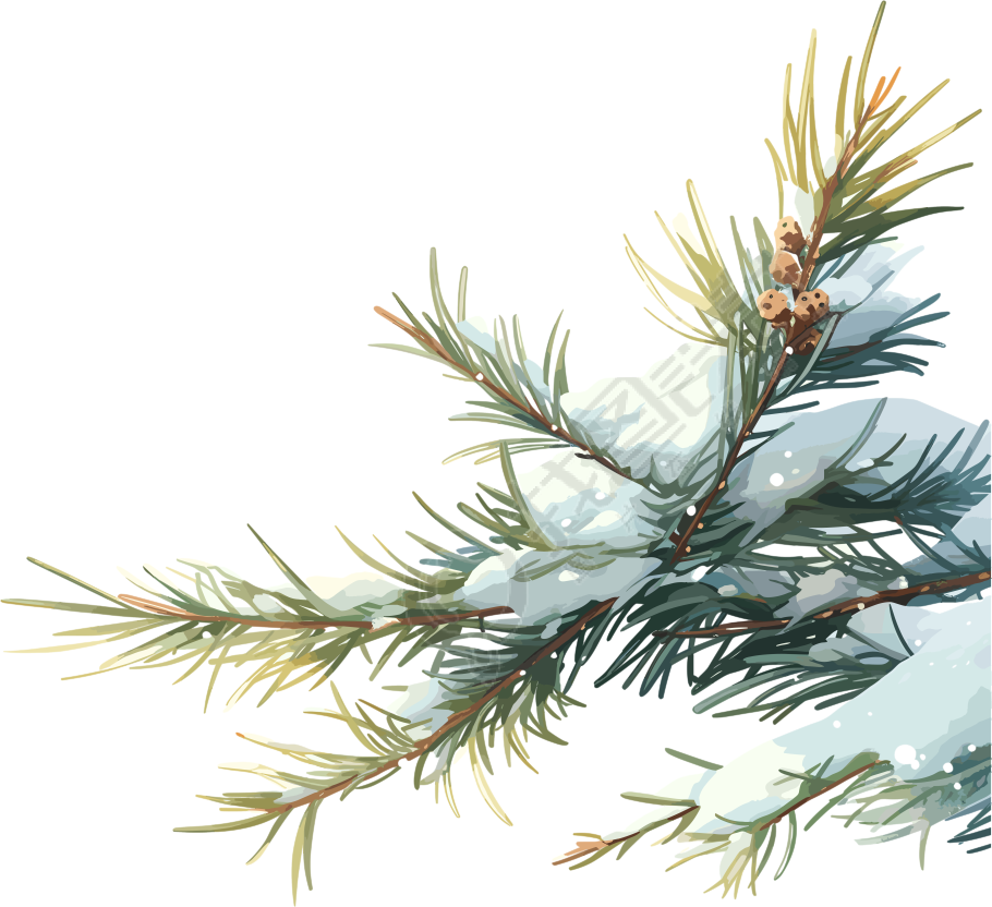 松枝上飘落的雪花素材