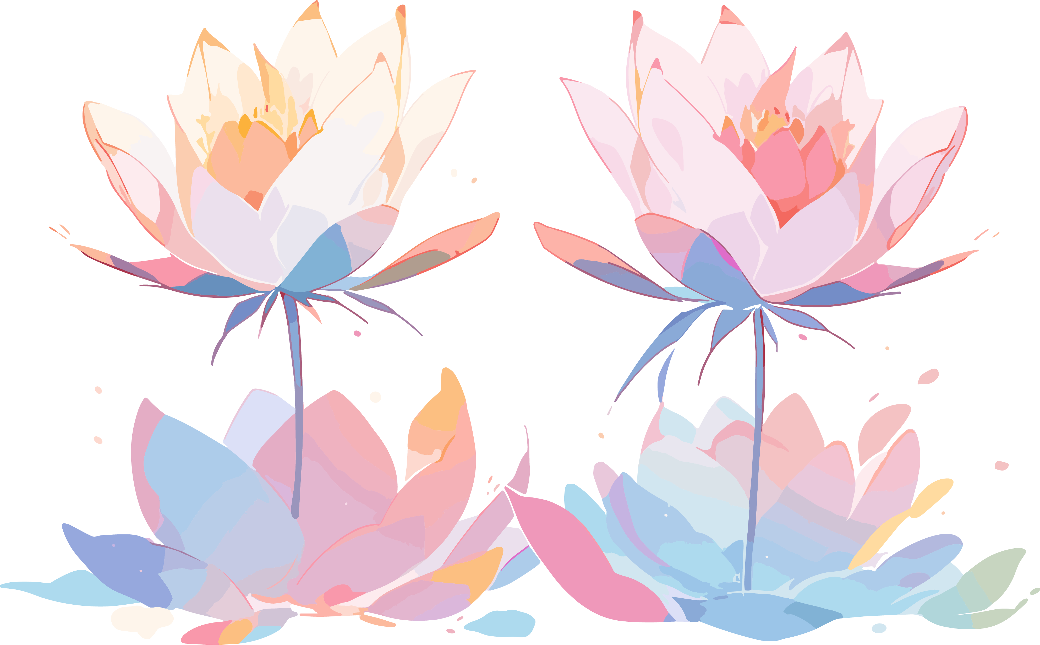 莲花可商用插画设计素材
