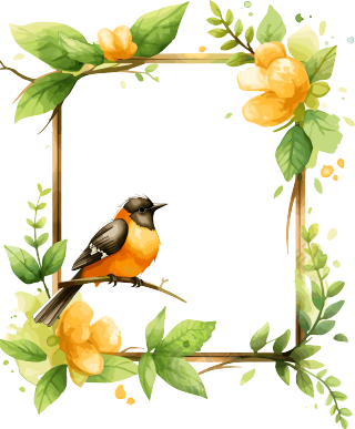 绿色边框手绘插画元素