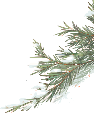 松枝积雪高清质量素材