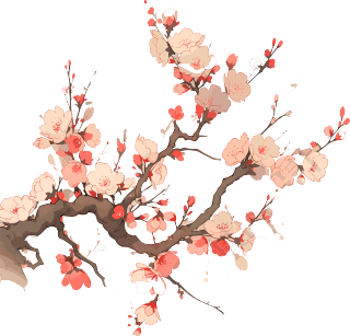 梅花PNG高清透明背景素材