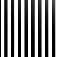 条纹黑白图案矢量素材