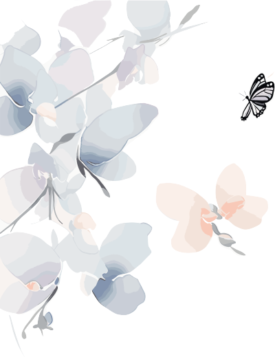 兰花蝴蝶水墨插画