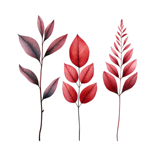 树叶简约插画素材