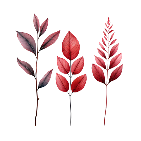 树叶简约插画素材