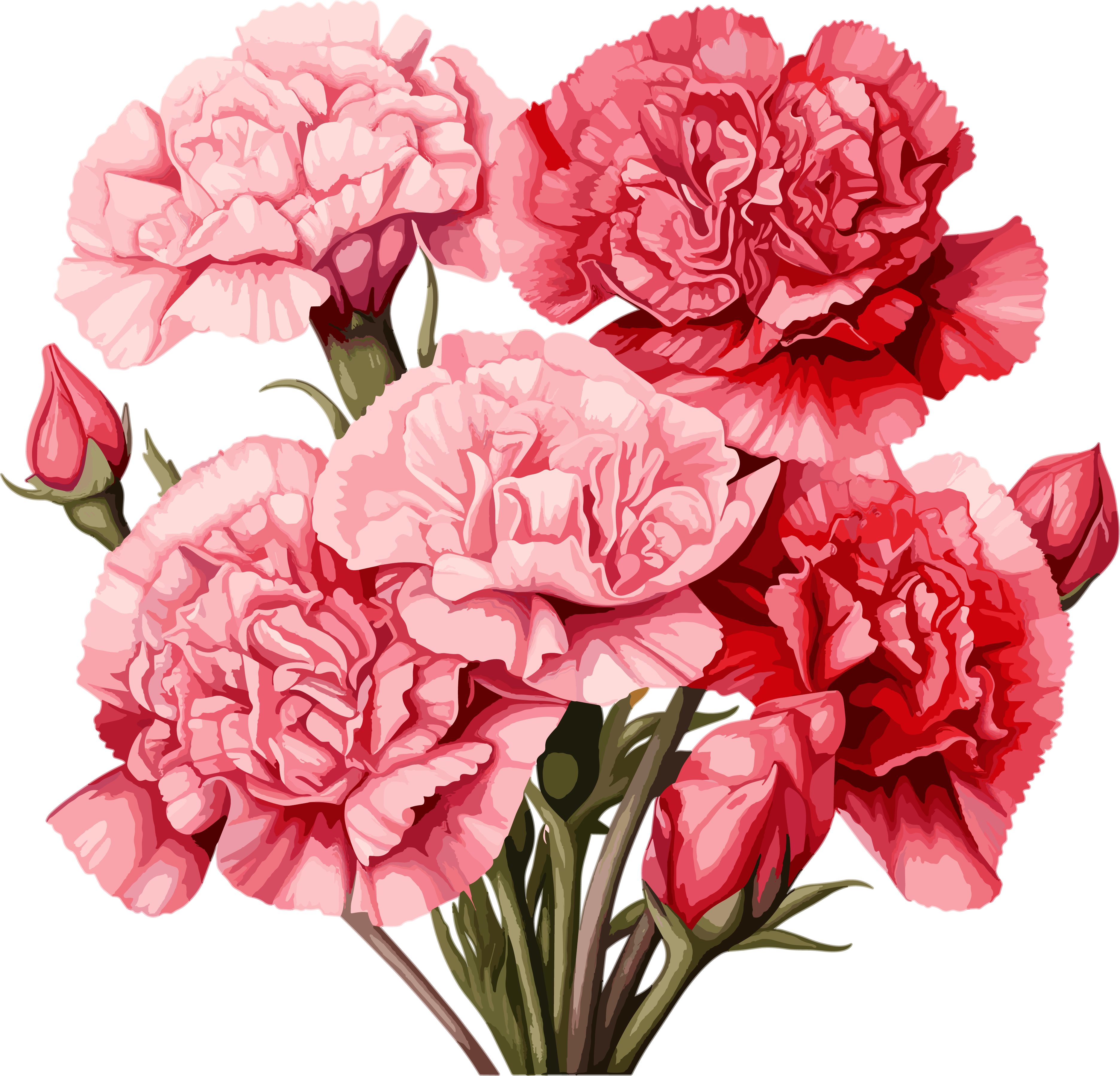 教师节卡通康乃馨素材