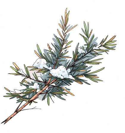 松枝积雪商业设计元素