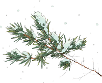 松枝积雪透明背景素材