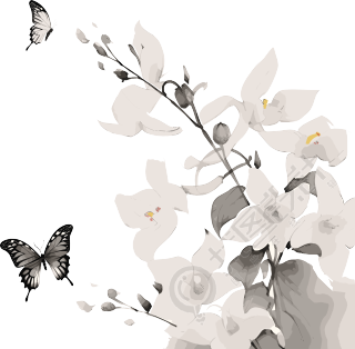兰花蝴蝶水墨中国风插画