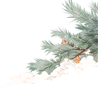 松枝雪花简约插画