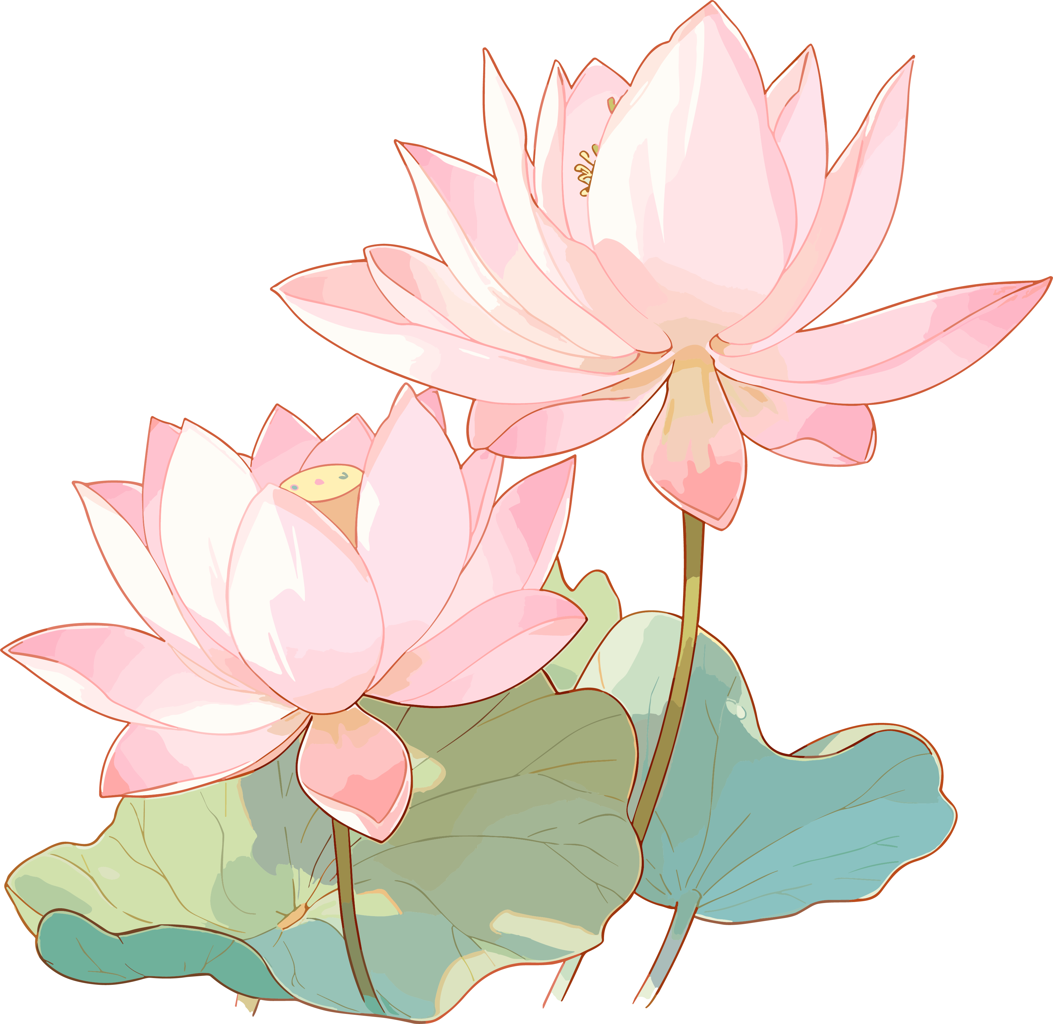 莲花简约儿童插画
