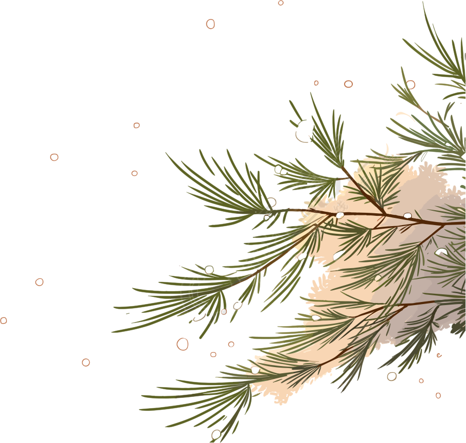 松枝积雪透明背景插图