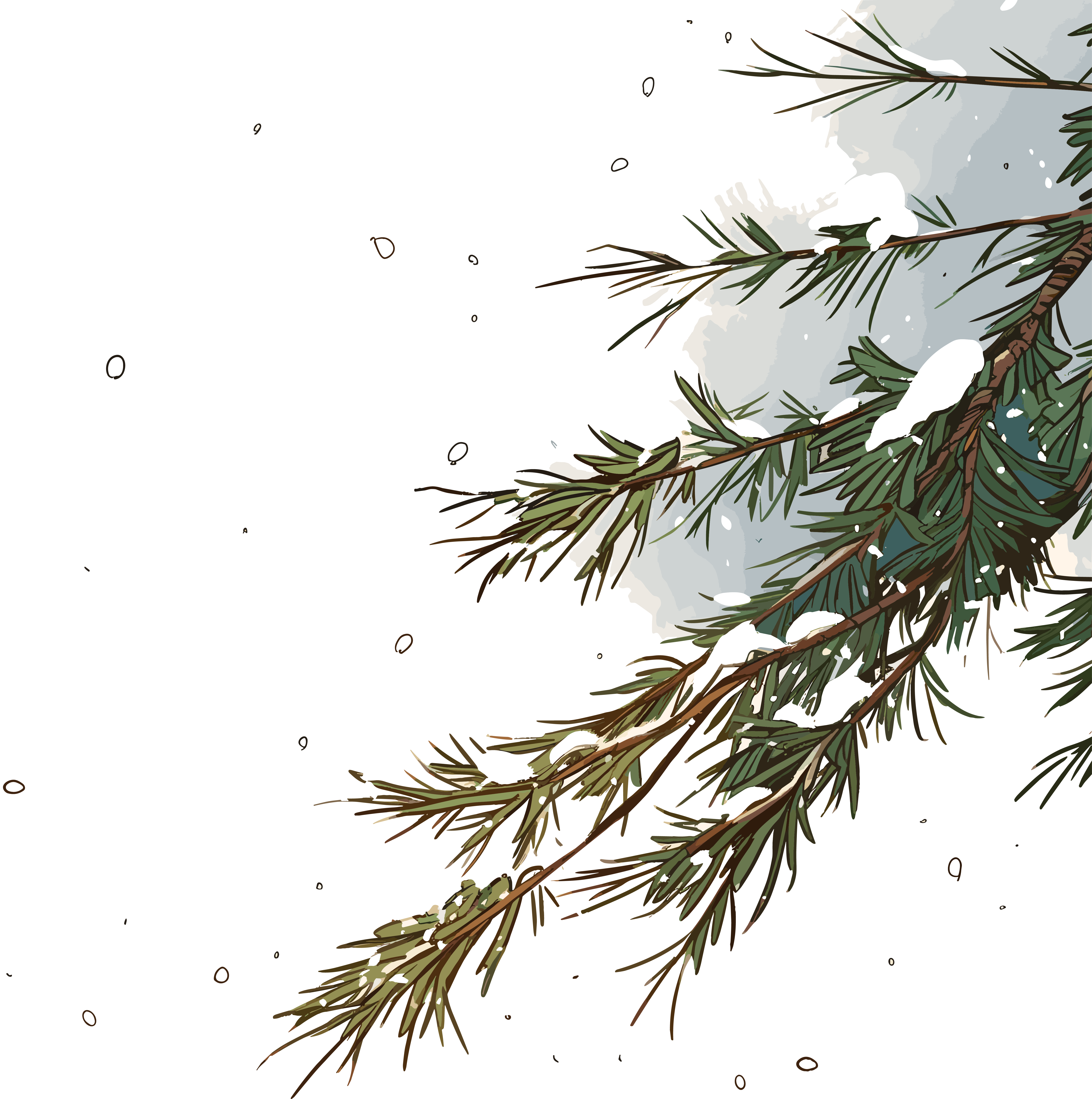 松枝积雪插图