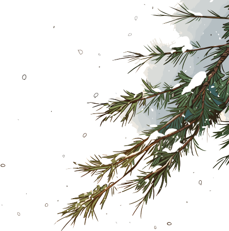 松枝积雪插图