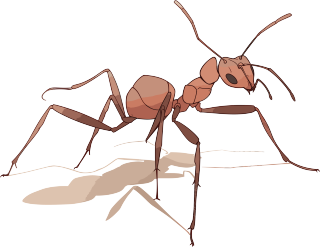 蚂蚁卡通高清插图