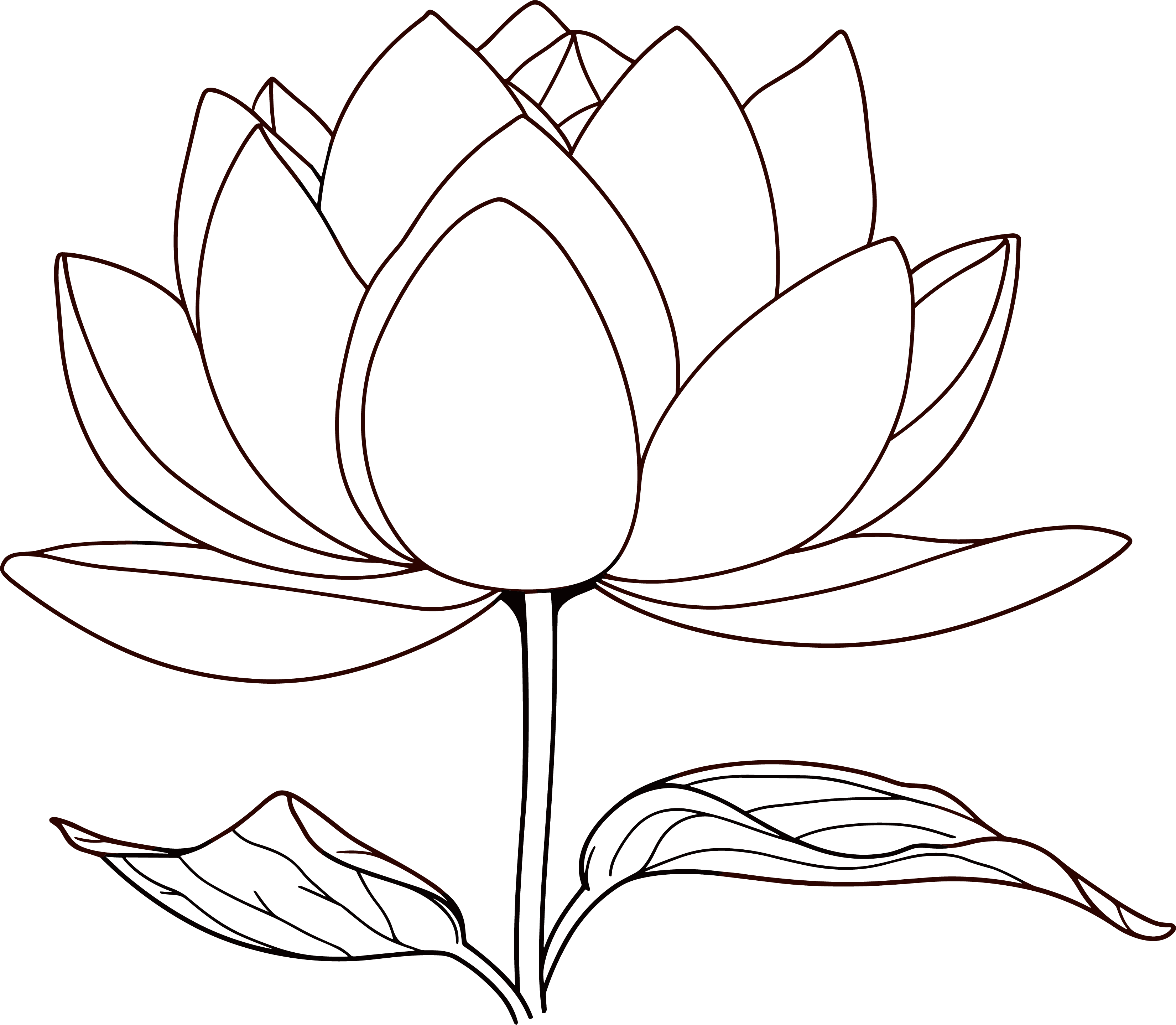 荷花简笔画