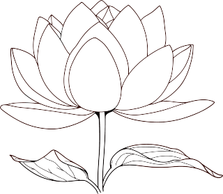 荷花简笔画