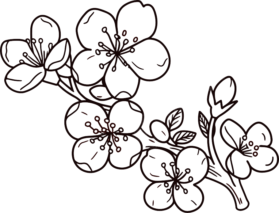 梅花简笔画