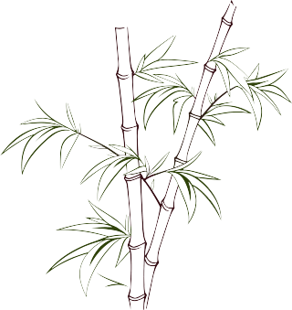 竹子简笔画