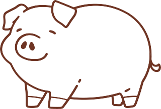 小猪简笔画