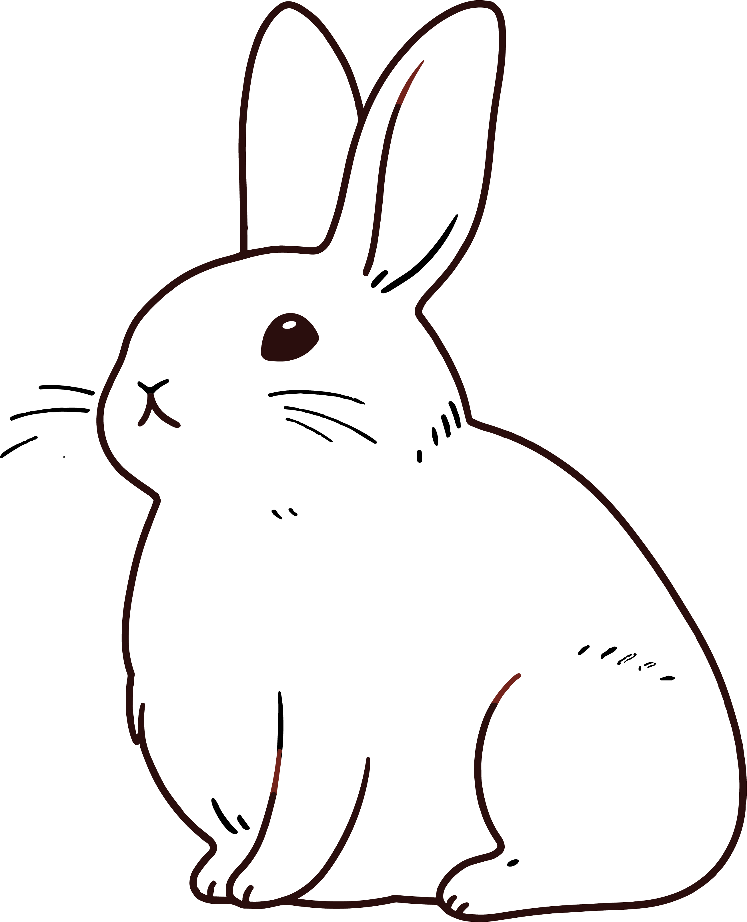 小白兔简笔画