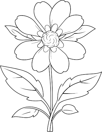 花朵简笔画