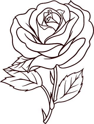 玫瑰花简笔画