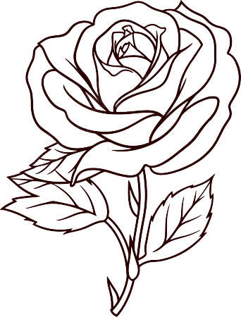 玫瑰花简笔画