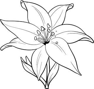 花简笔画