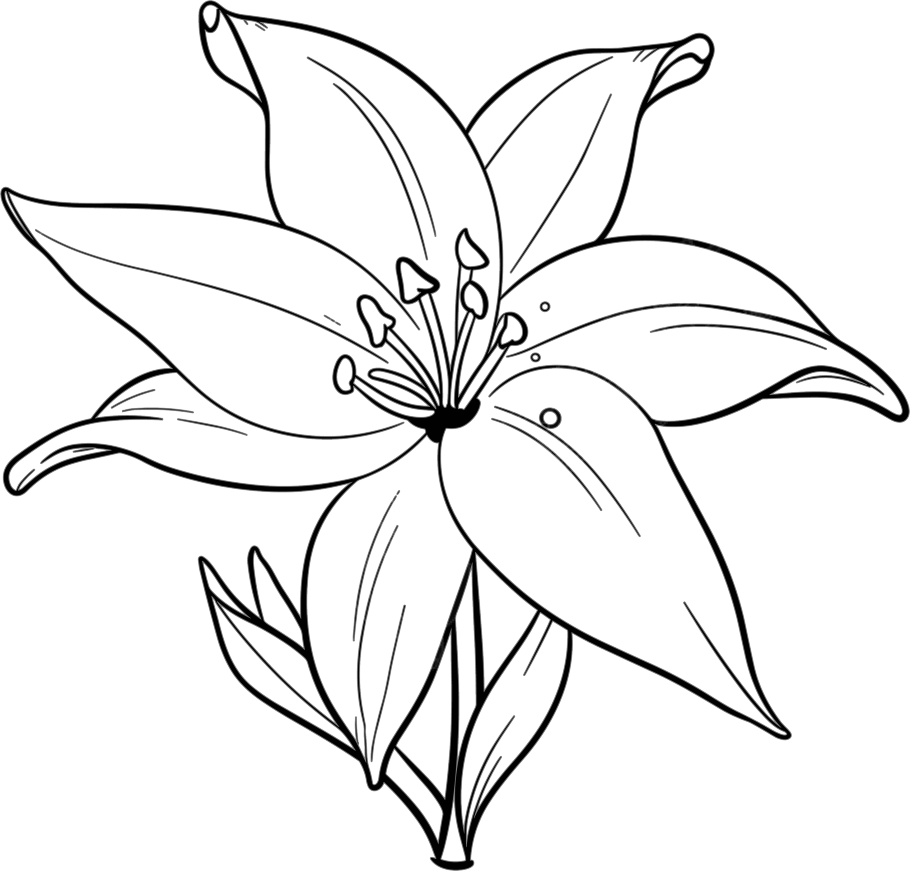 花简笔画