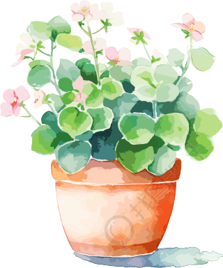 水彩花卉商业设计插画