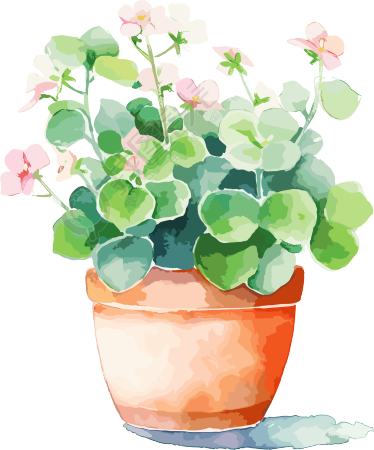 水彩花卉商业设计插画