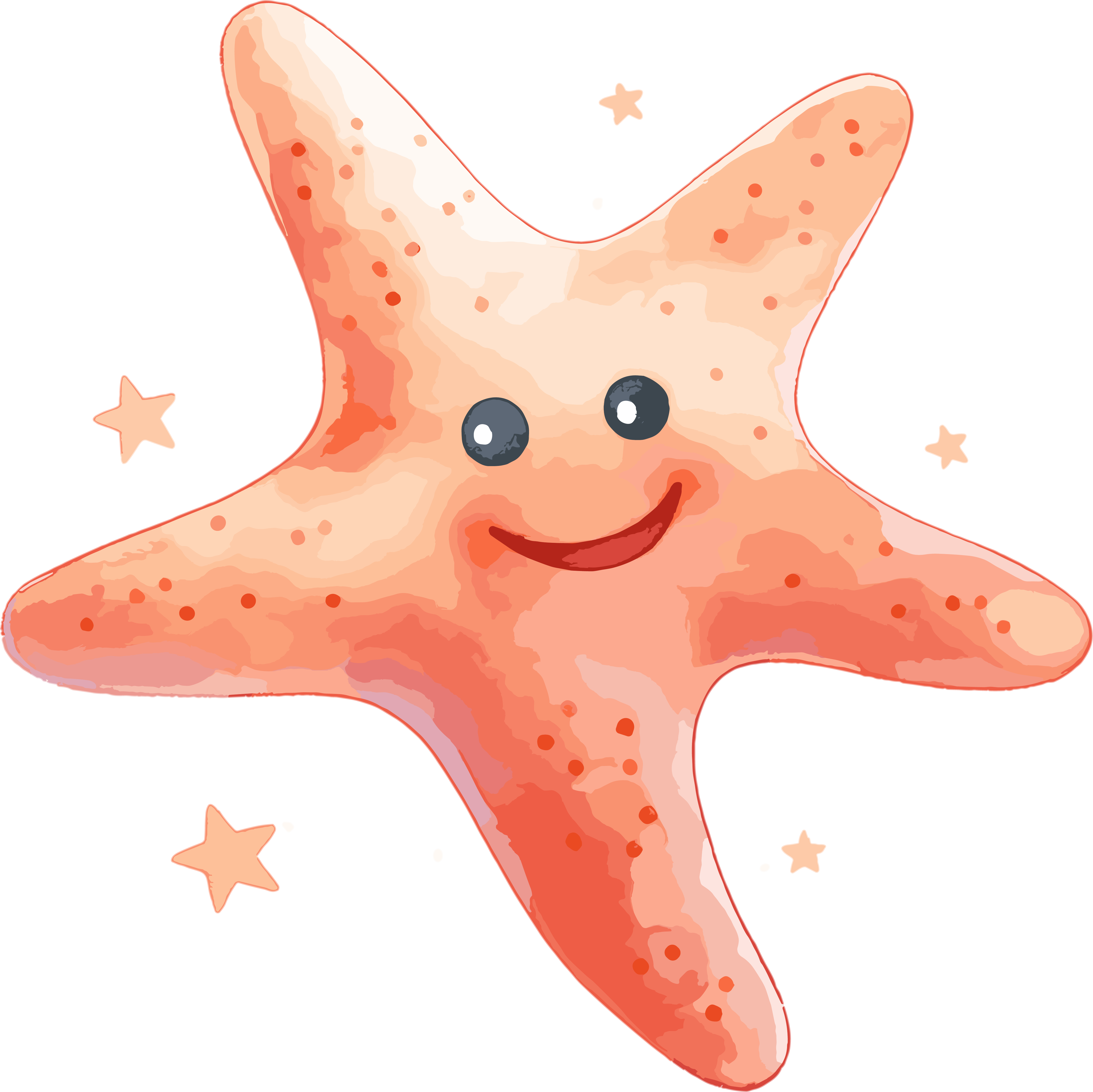 海星水彩插画