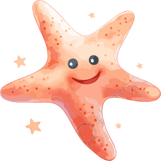 海星水彩插画