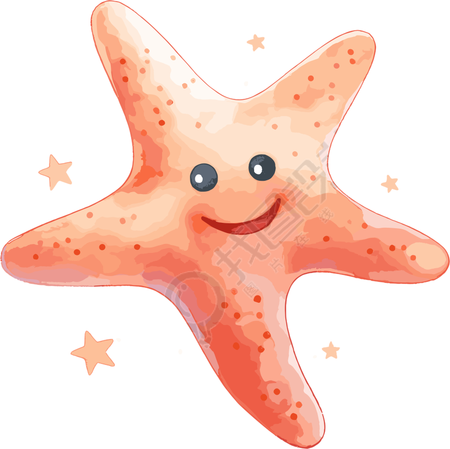 海星水彩插画