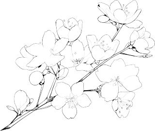 桃花简笔画