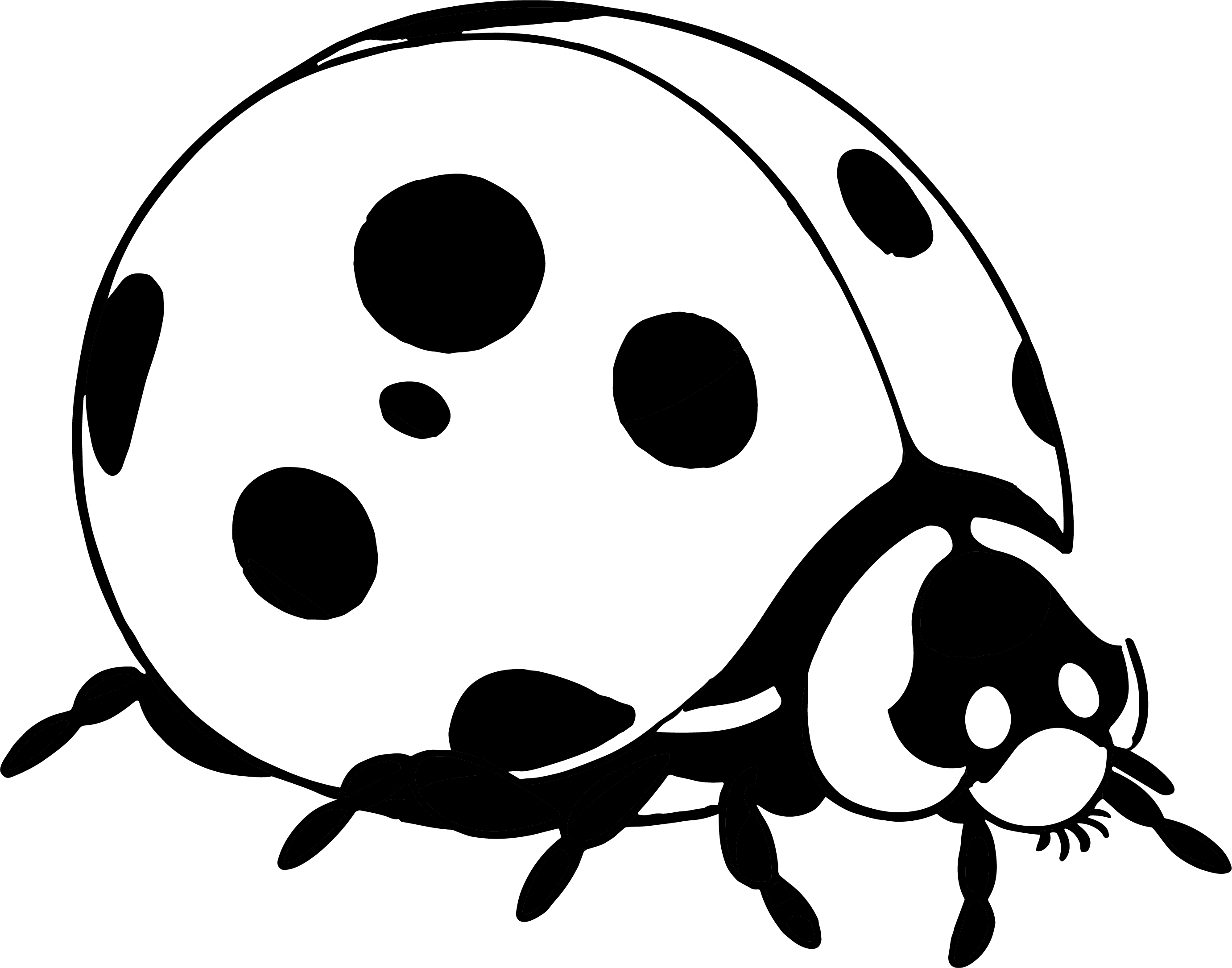 七星瓢虫简笔画