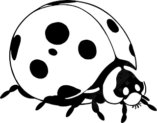 七星瓢虫简笔画