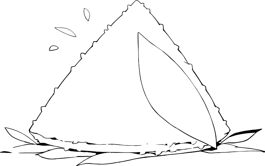 粽子简笔画